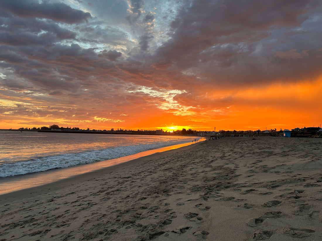 Our Stand: Peaceful Protest, Never Violence